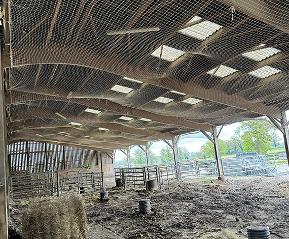 pose de filets de protection en Indre-et-Loire